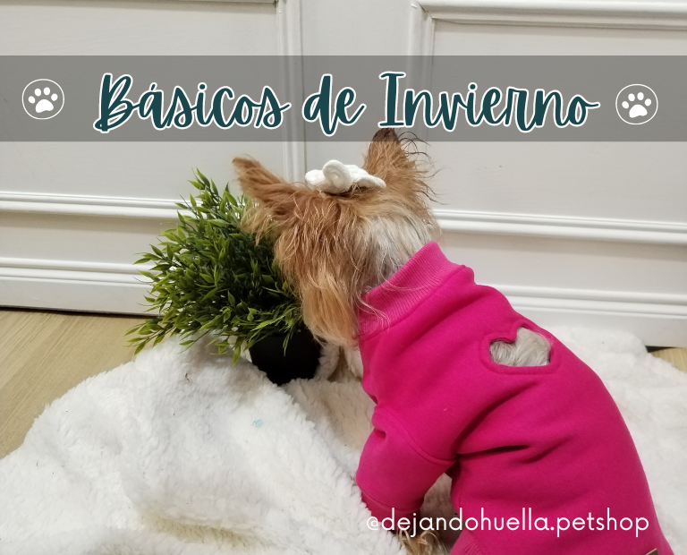 Básicos de Invierno