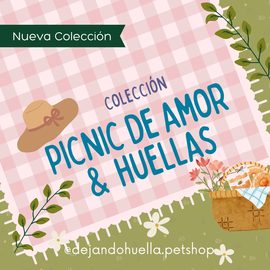 Colección Picnic