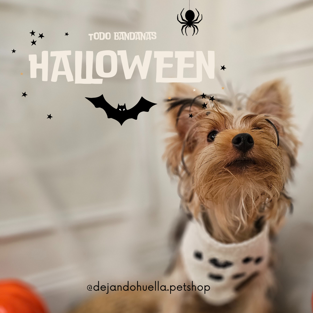 Bandanas de Halloween