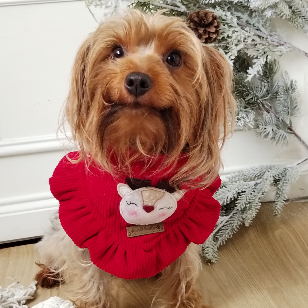 Bandana Rodolfo