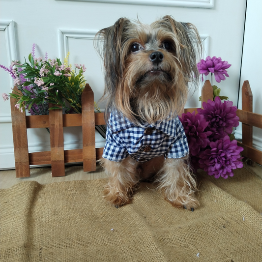 Camisa Picnic 🌿