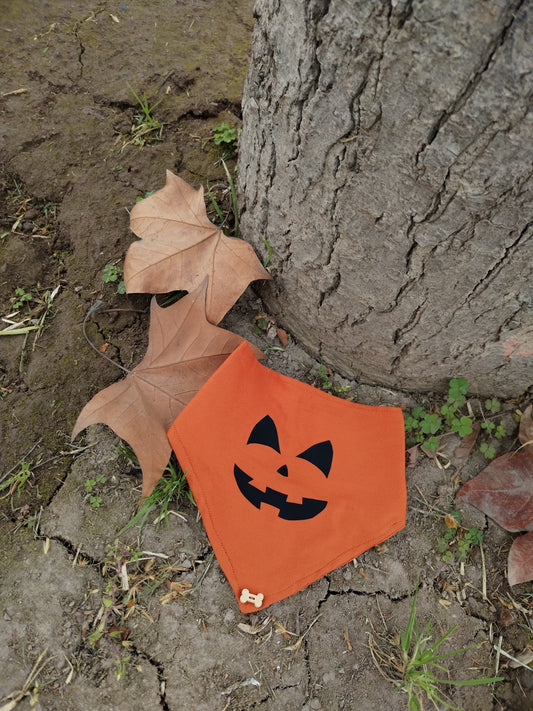 Bandana Calabaza 🎃